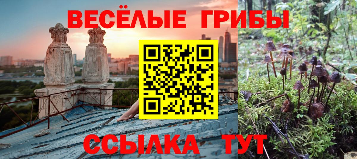 Галлюциногенные грибы прущие грибы Морозовск