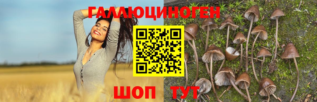 Псилоцибиновые грибы MAGIC MUSHROOMS  Галлюциногенные грибы ЛСД  Вход с VPN  Морозовск 